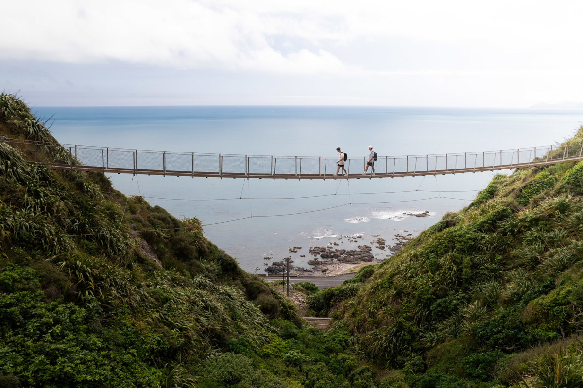 Paekakariki Escarpment, Summer, Roady NZ, Dec 2023 (4) (2)