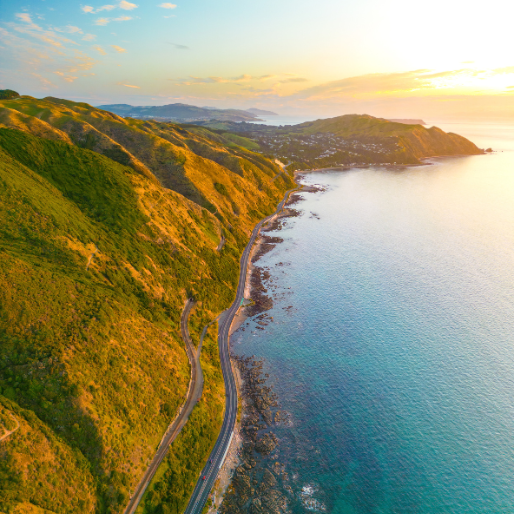 Coastline Drive To Kapiti, Paekakariki, Credit Lillia Alexander