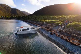 Kapiti Island Boat