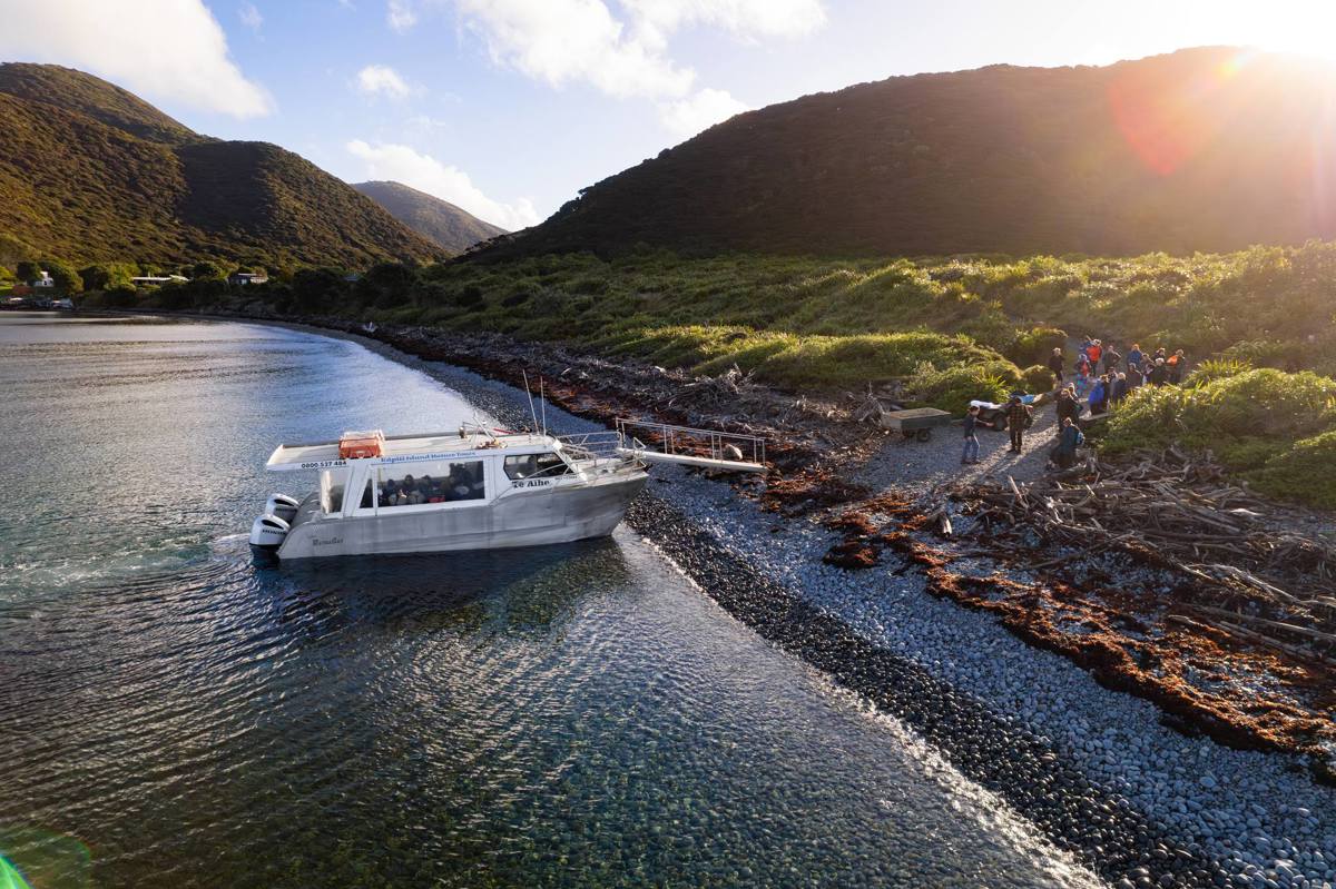 Kapiti Island Boat