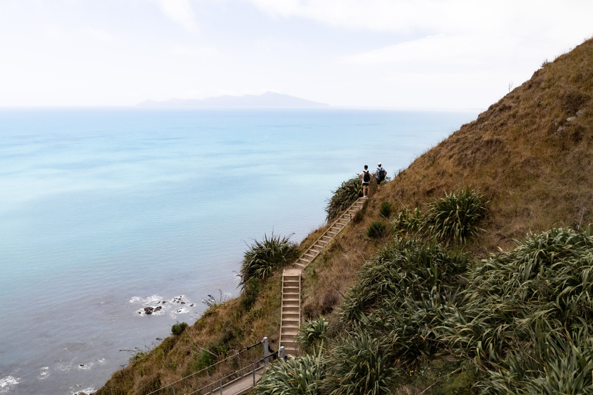 Escarpment Track, Credit Roady