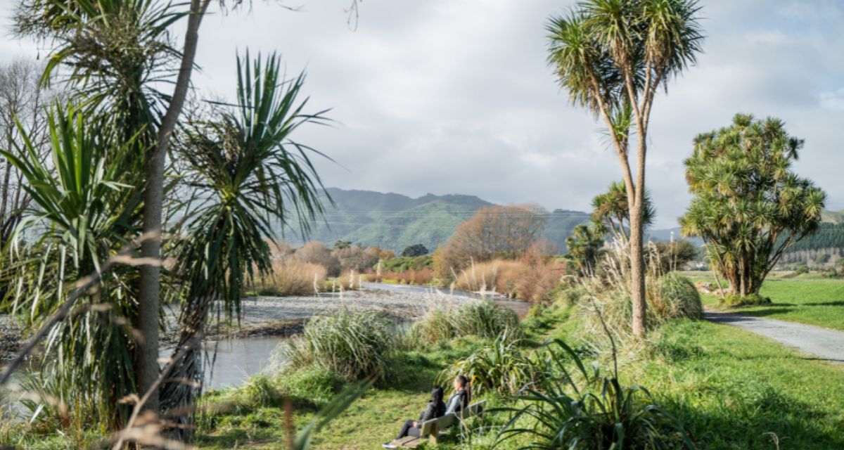 Waikanae River Walk In Winter