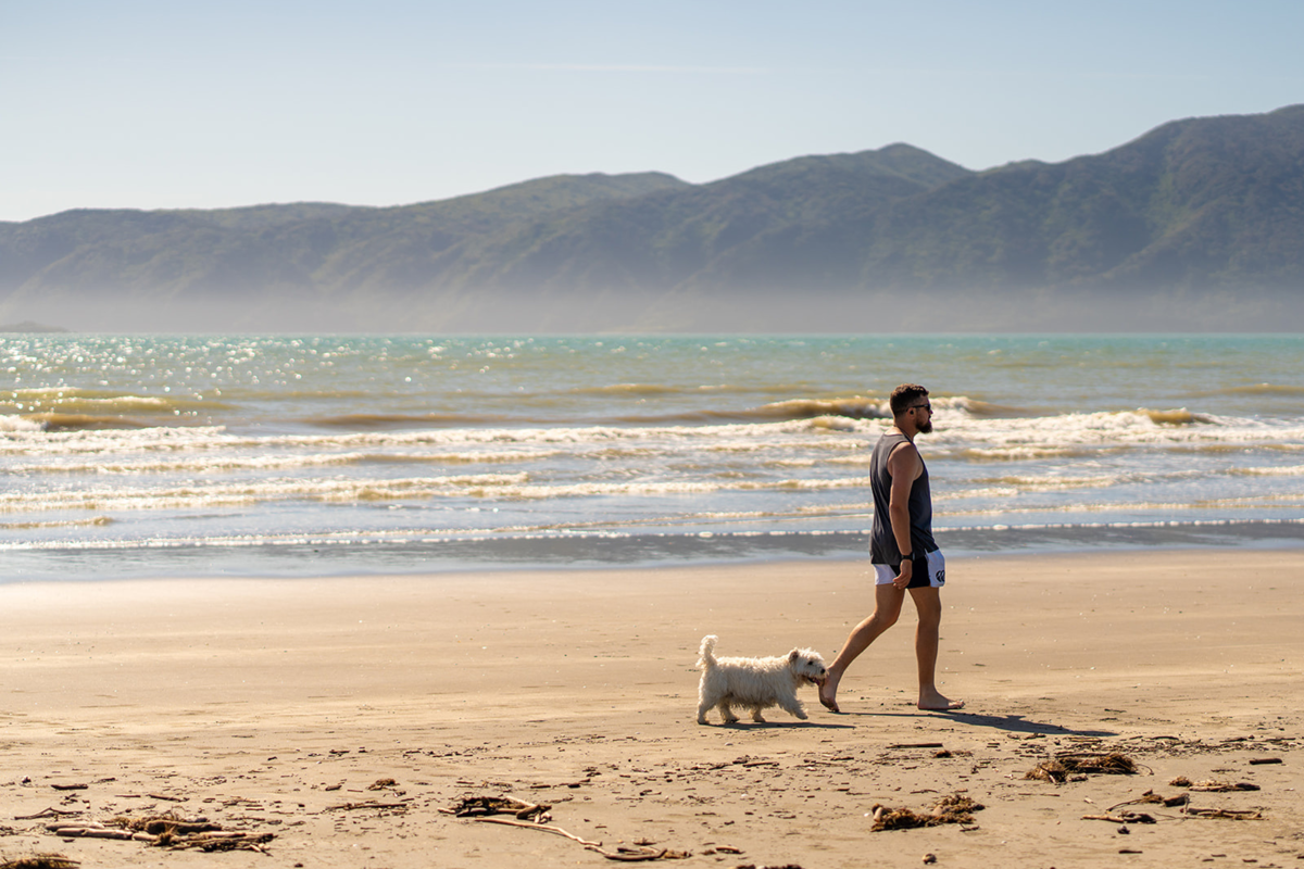 Paraparaumu Beach, Summer, Ashley Alexander, 2024