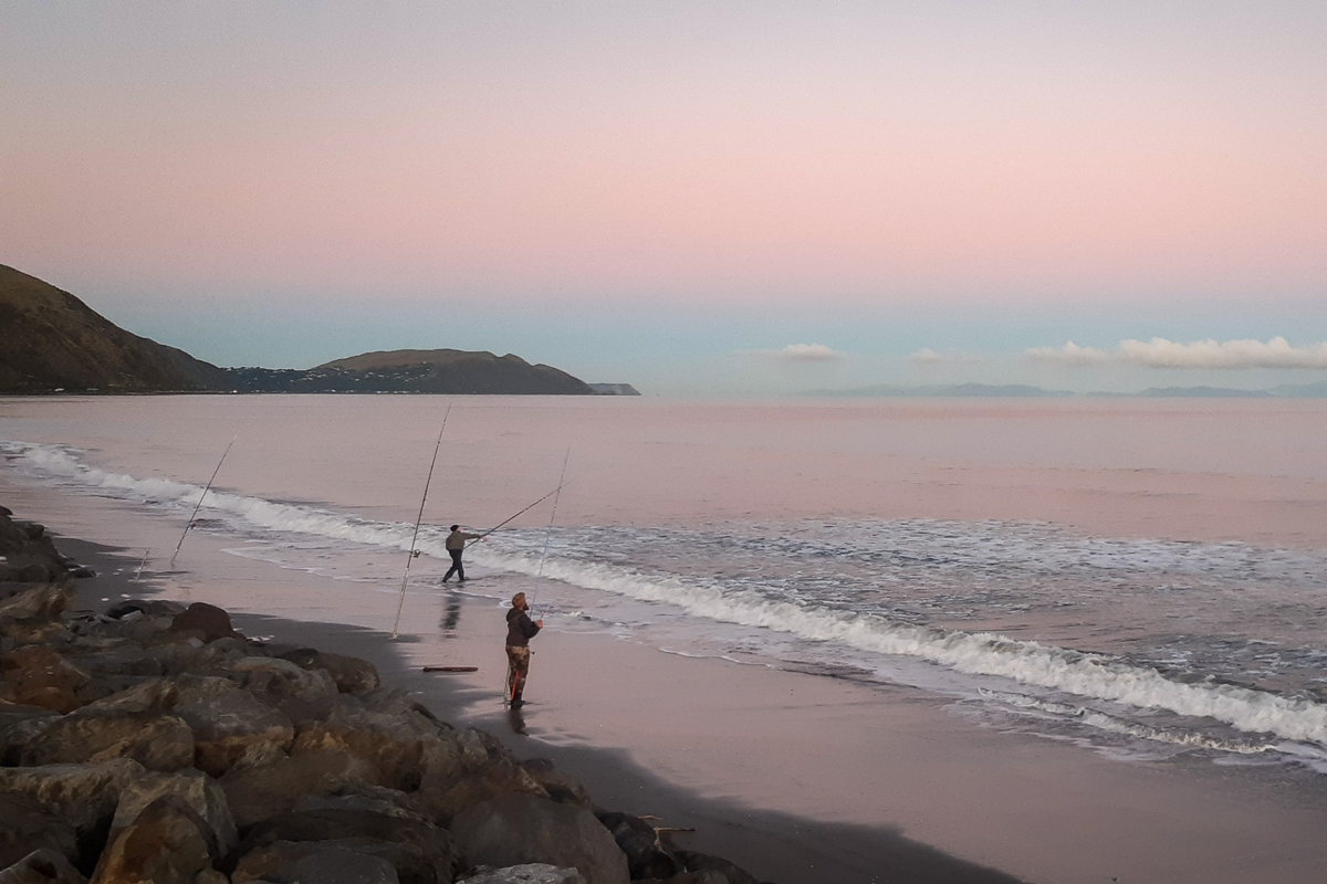 Paekākāriki Beach