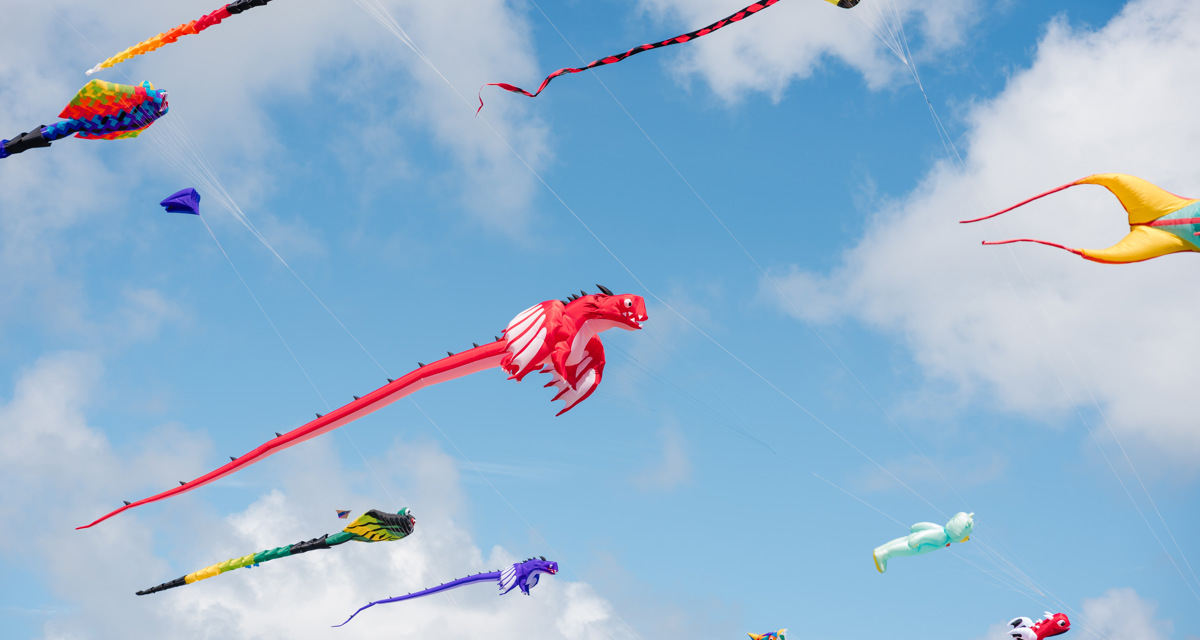 Otaki Kite Festival AAA 308