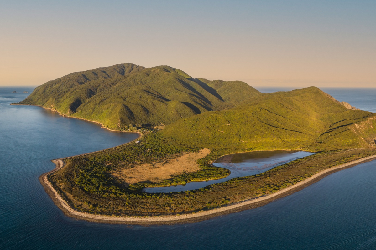 Kapiti Island Johnny Hendrikus