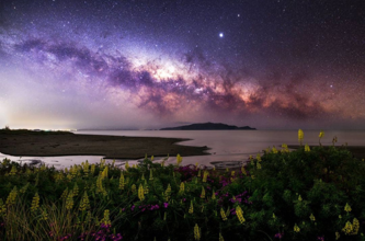 Kapiti Island Under The Milky Way