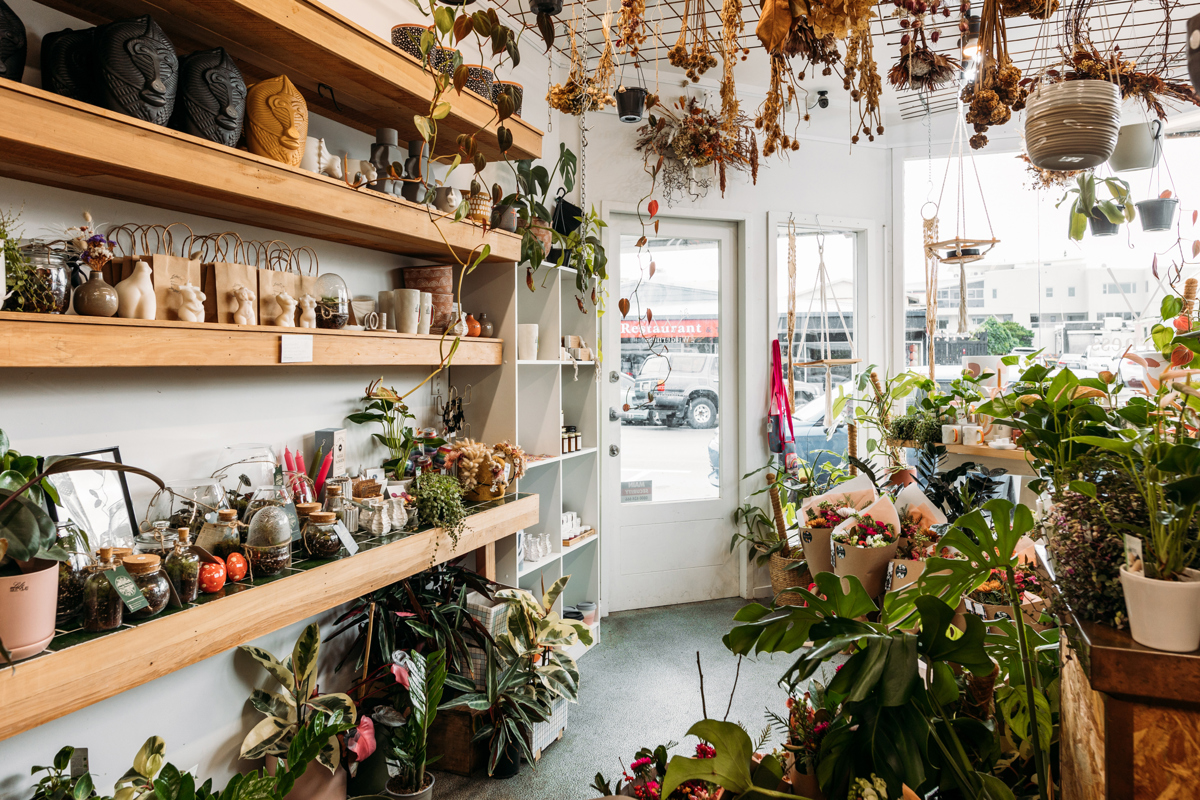 The Wilderness Florist, Paraparaumu Beach, Neat Places, 2023